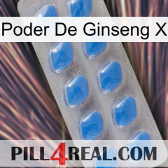 Ginseng Power X 22